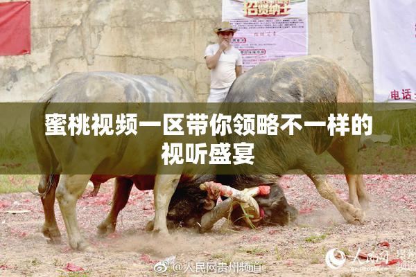蜜桃视频一区带你领略不一样的视听盛宴