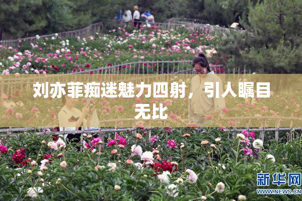 刘亦菲痴迷魅力四射，引人瞩目无比