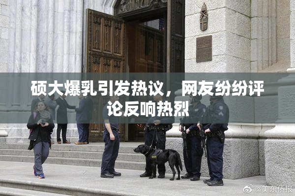 硕大爆乳引发热议，网友纷纷评论反响热烈