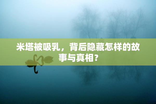 米塔被吸乳，背后隐藏怎样的故事与真相？