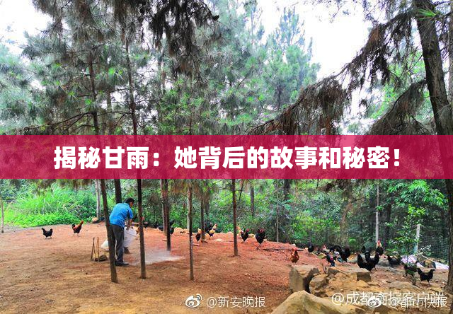 揭秘甘雨：她背后的故事和秘密！
