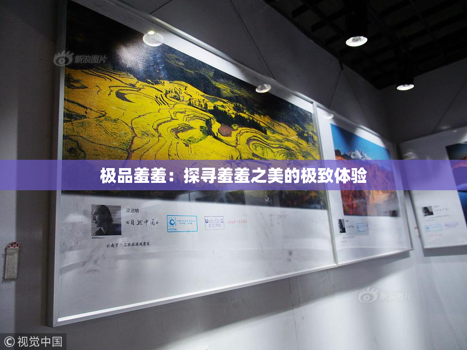 极品羞羞：探寻羞羞之美的极致体验