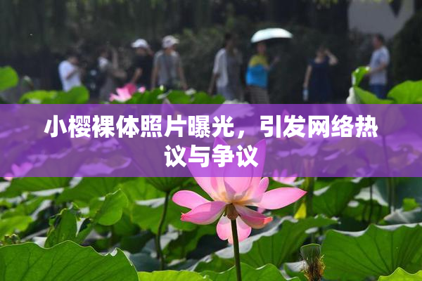 小樱裸体照片曝光，引发网络热议与争议