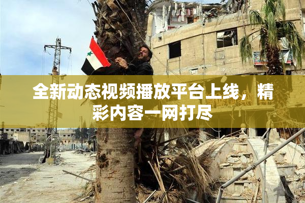 全新动态视频播放平台上线，精彩内容一网打尽