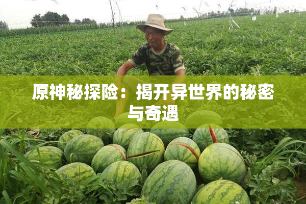 原神秘探险：揭开异世界的秘密与奇遇