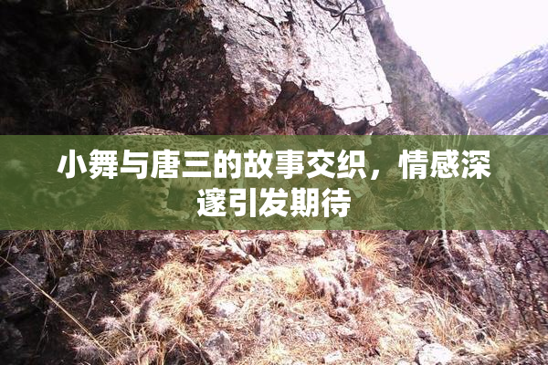 小舞与唐三的故事交织，情感深邃引发期待