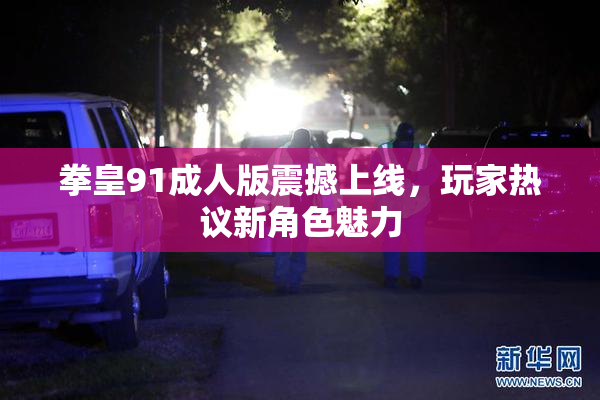 拳皇91成人版震撼上线，玩家热议新角色魅力