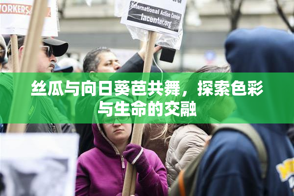 丝瓜与向日葵芭共舞，探索色彩与生命的交融