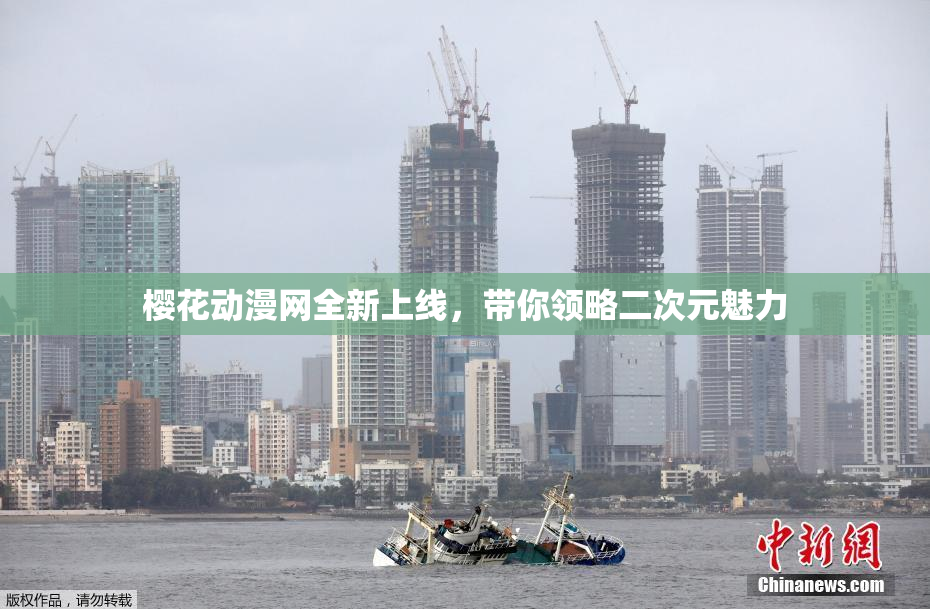 樱花动漫网全新上线，带你领略二次元魅力
