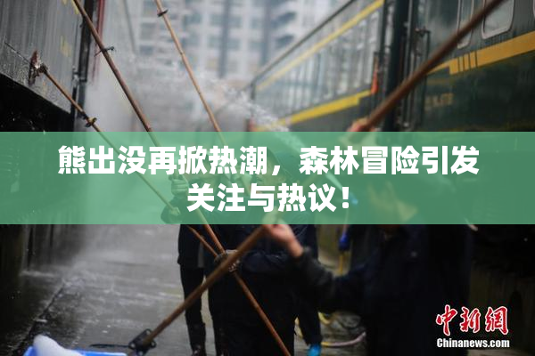 熊出没再掀热潮，森林冒险引发关注与热议！