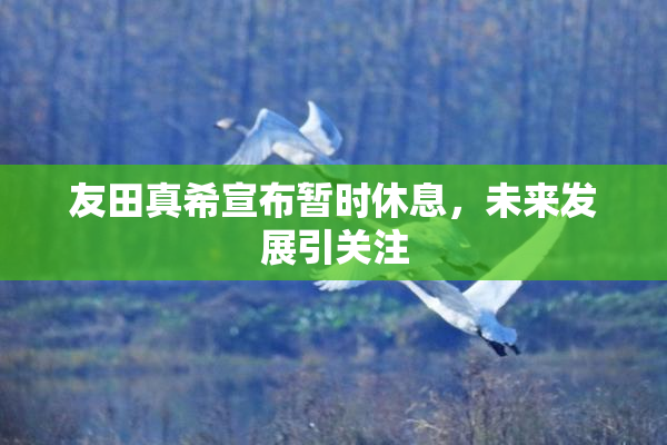 友田真希宣布暂时休息，未来发展引关注