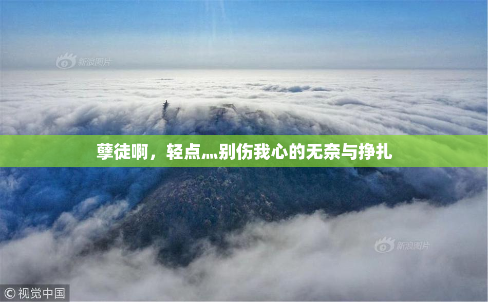 孽徒啊，轻点灬别伤我心的无奈与挣扎