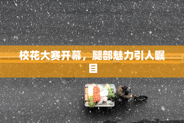 校花大赛开幕，腿部魅力引人瞩目