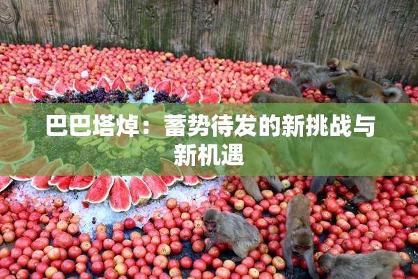 巴巴塔焯：蓄势待发的新挑战与新机遇