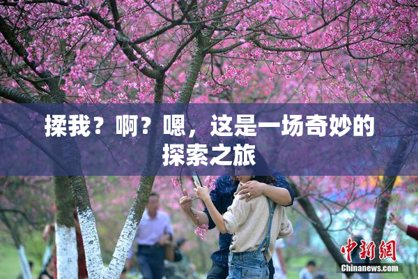 揉我？啊？嗯，这是一场奇妙的探索之旅