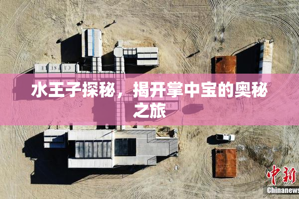 水王子探秘，揭开掌中宝的奥秘之旅