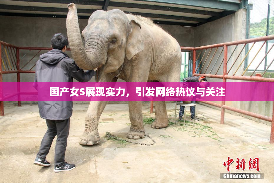 国产女S展现实力，引发网络热议与关注