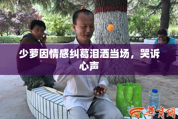 少萝因情感纠葛泪洒当场，哭诉心声