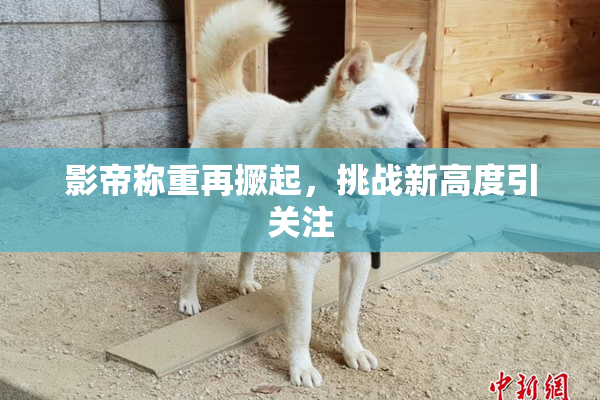 影帝称重再撅起，挑战新高度引关注