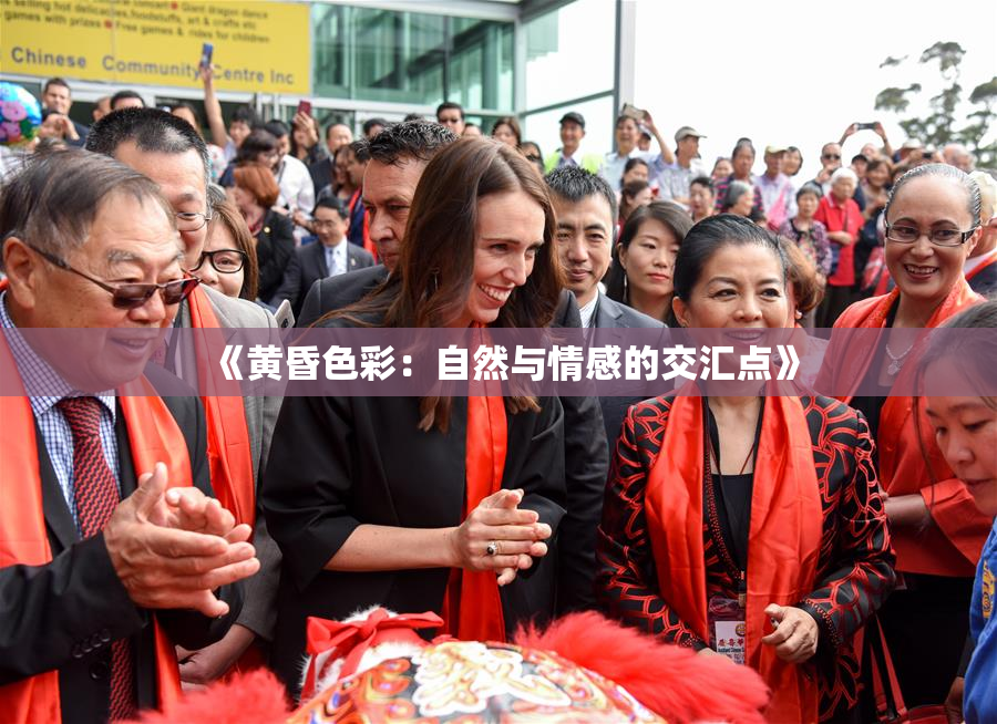 《黄昏色彩：自然与情感的交汇点》