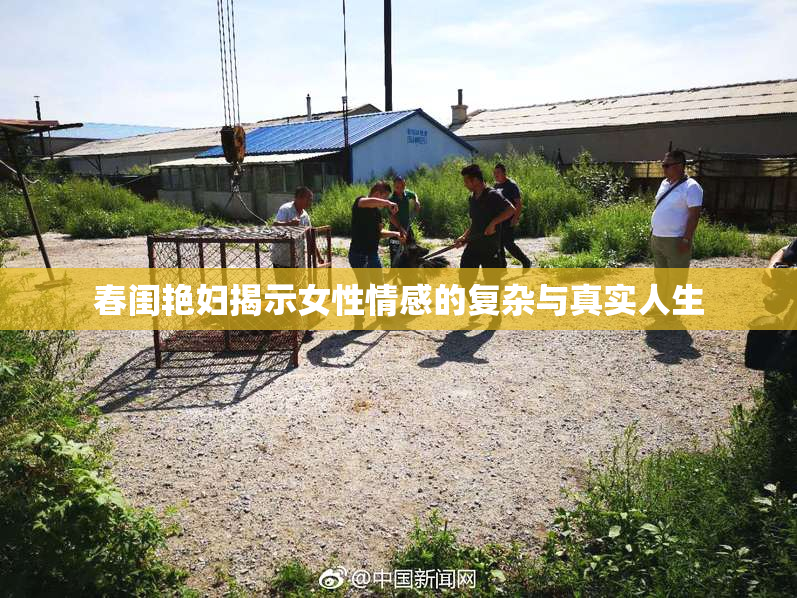 春闺艳妇揭示女性情感的复杂与真实人生