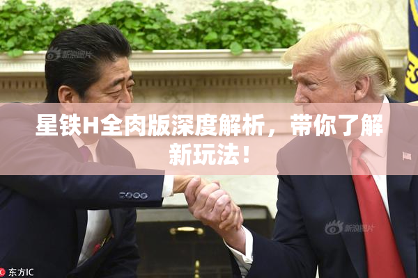 星铁H全肉版深度解析，带你了解新玩法！