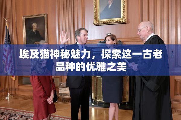 埃及猫神秘魅力，探索这一古老品种的优雅之美