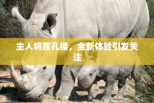 主人将尿孔揉，全新体验引发关注