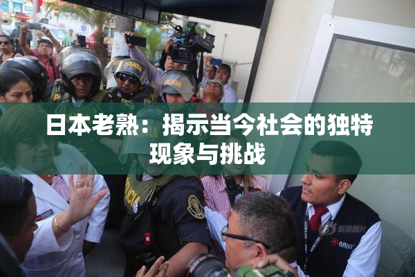 日本老熟：揭示当今社会的独特现象与挑战