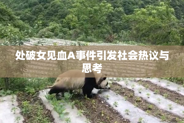 处破女见血A事件引发社会热议与思考