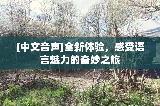 [中文音声]全新体验，感受语言魅力的奇妙之旅