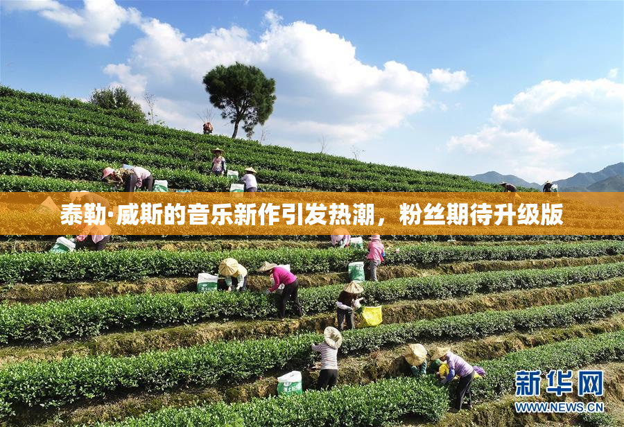 泰勒·威斯的音乐新作引发热潮，粉丝期待升级版