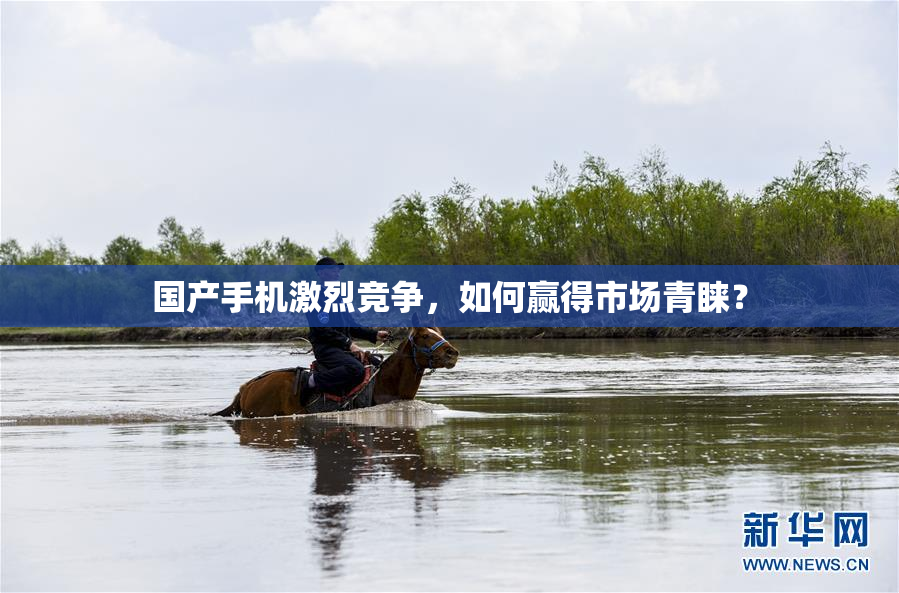 国产手机激烈竞争，如何赢得市场青睐？