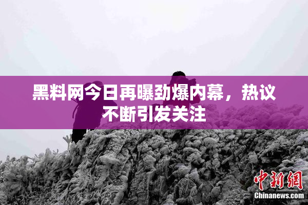 黑料网今日再曝劲爆内幕，热议不断引发关注