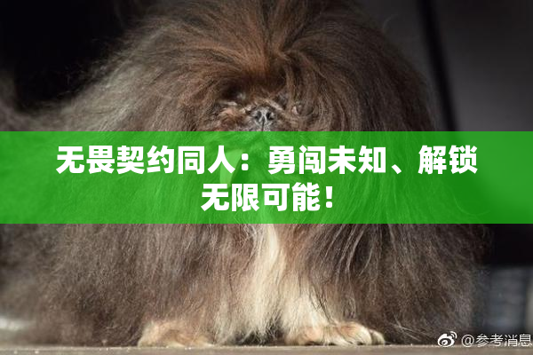 无畏契约同人：勇闯未知、解锁无限可能！