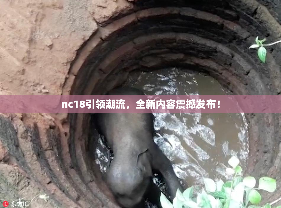 nc18引领潮流，全新内容震撼发布！