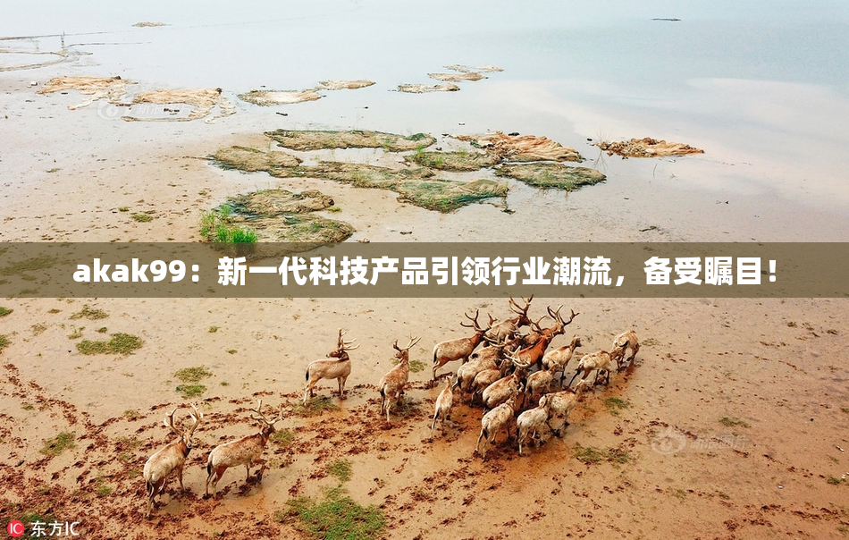 akak99：新一代科技产品引领行业潮流，备受瞩目！