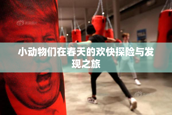 小动物们在春天的欢快探险与发现之旅