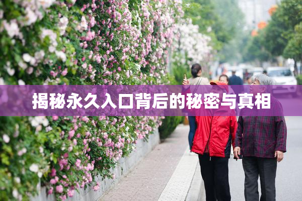 揭秘永久入口背后的秘密与真相