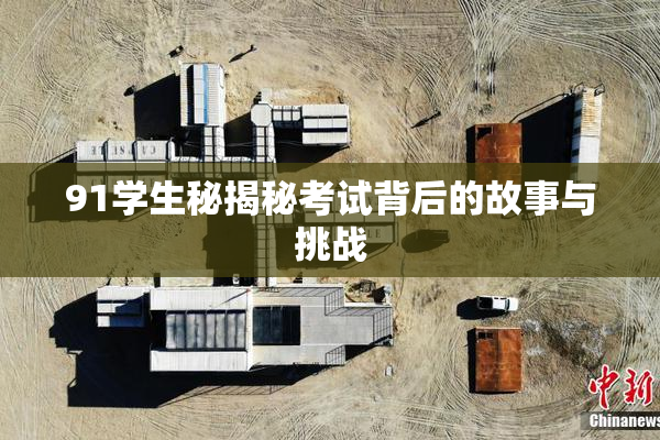 91学生秘揭秘考试背后的故事与挑战