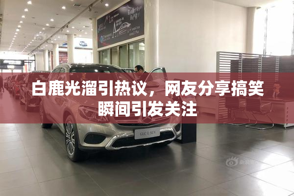 白鹿光溜引热议，网友分享搞笑瞬间引发关注
