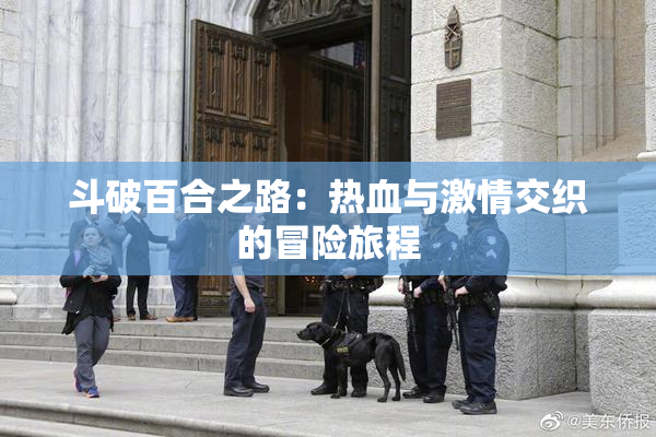 斗破百合之路：热血与激情交织的冒险旅程