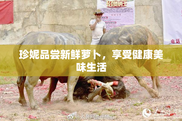 珍妮品尝新鲜萝卜，享受健康美味生活
