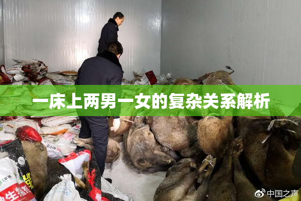 一床上两男一女的复杂关系解析
