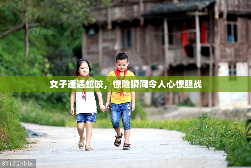女子遭遇蛇咬，惊险瞬间令人心惊胆战