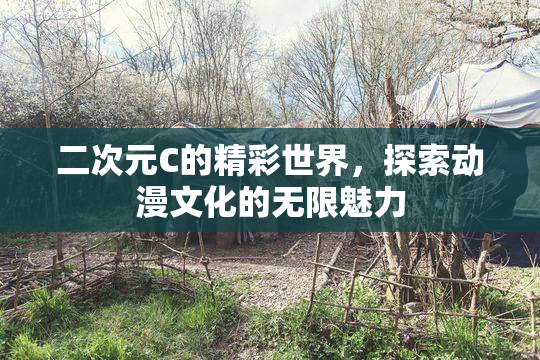 二次元C的精彩世界，探索动漫文化的无限魅力
