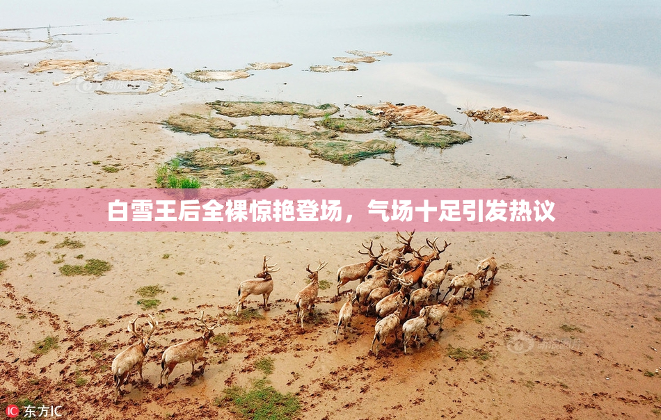 白雪王后全裸惊艳登场，气场十足引发热议