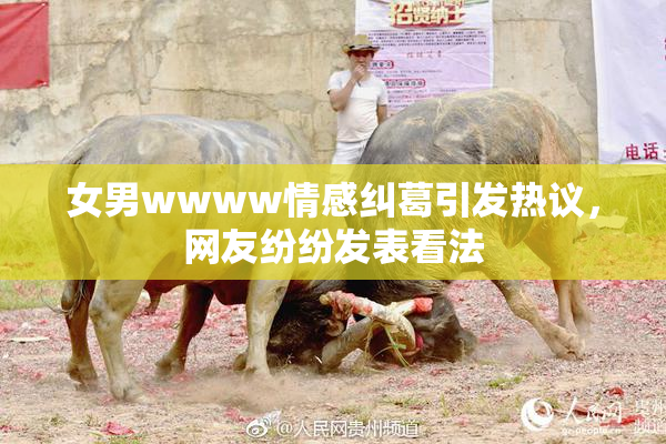 女男wwww情感纠葛引发热议，网友纷纷发表看法
