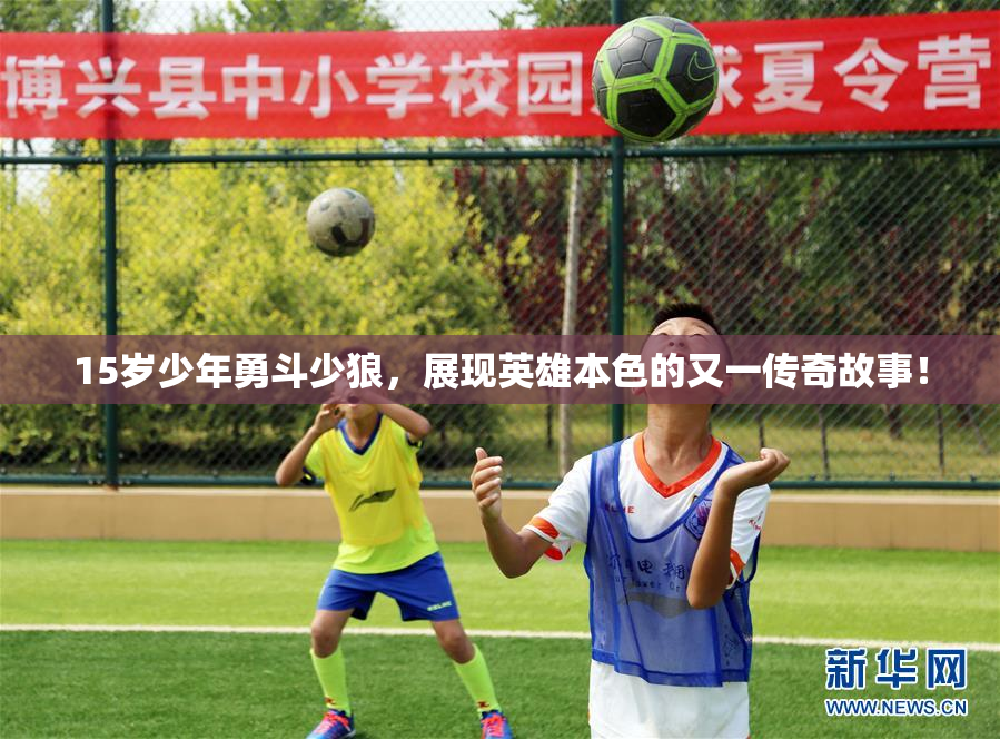 15岁少年勇斗少狼，展现英雄本色的又一传奇故事！