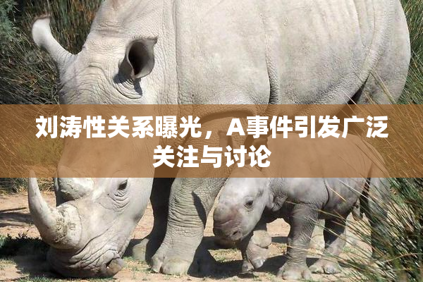 刘涛性关系曝光，A事件引发广泛关注与讨论